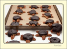 Turtles