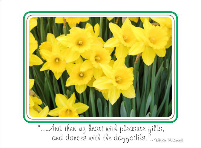 Dancing_Daffodils.jpg