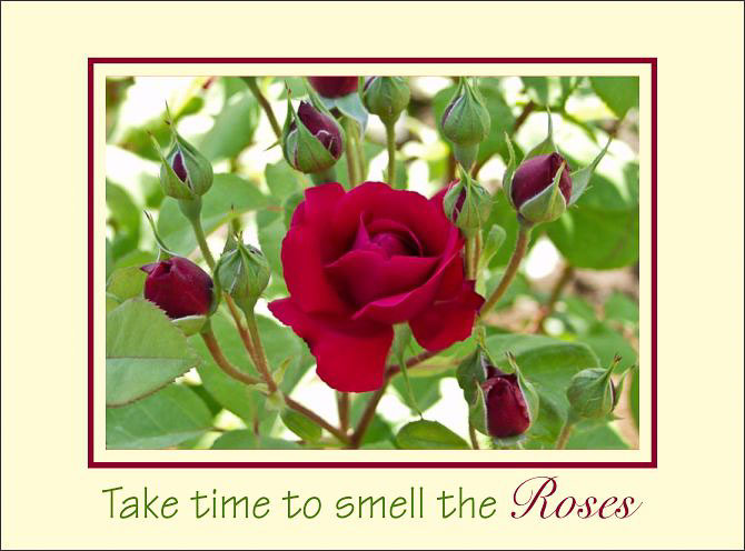 Smell_Red_Rose.jpg