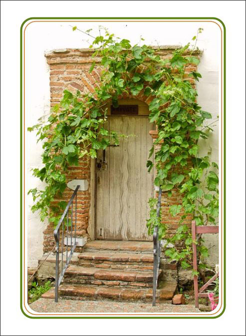 Vine_Covered_Door.jpg