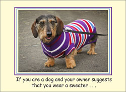 Bailey_Sweater.jpg