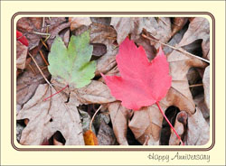 Anniversaries