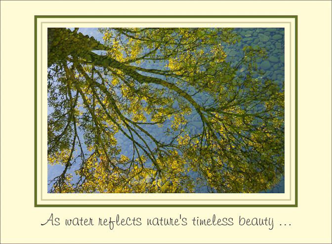Ageless_Reflection.jpg