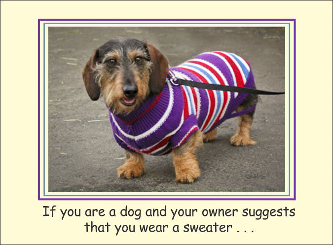 Bailey_Sweater.jpg