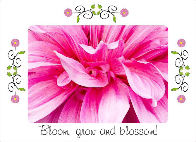 Bloom_Grow_Blossom.jpg