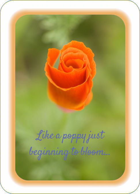 Blooming_Day.jpg