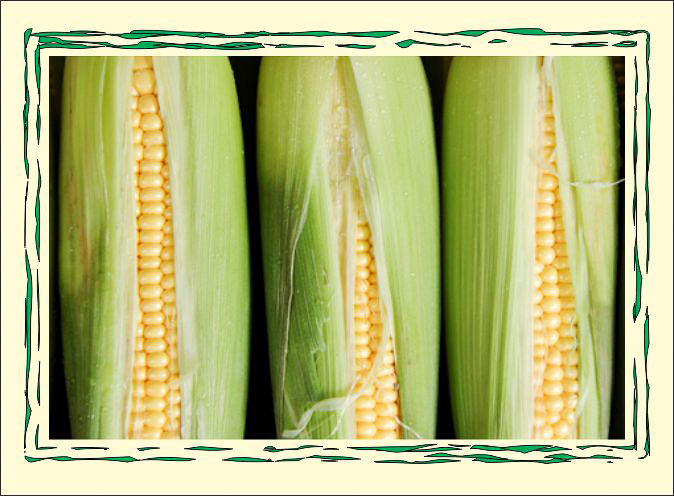 Corny.jpg