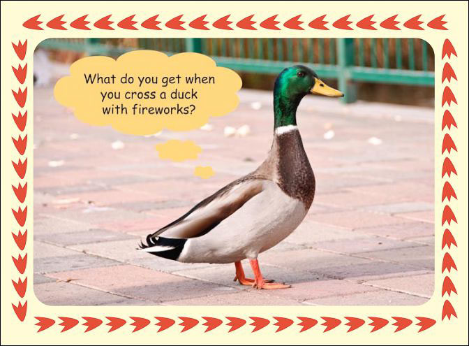 Duck_Firecracker.jpg