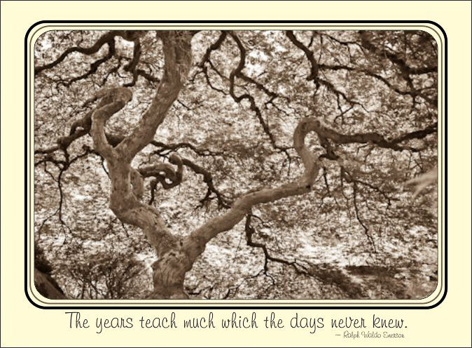 Duotone_Japanese_Maple.jpg