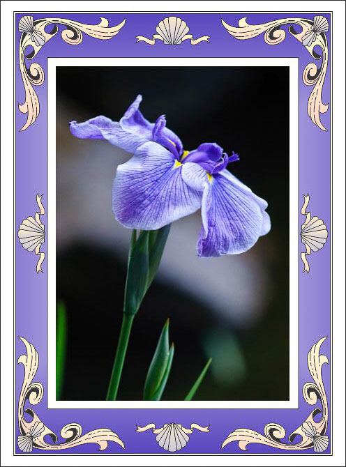 Framed_Blue_Iris_Birthday.jpg