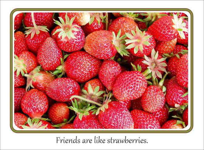 Friends_Like_Strawberries.jpg