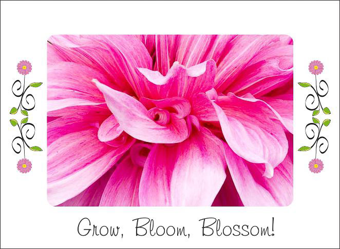 Grow_Bloom_Blossom.jpg