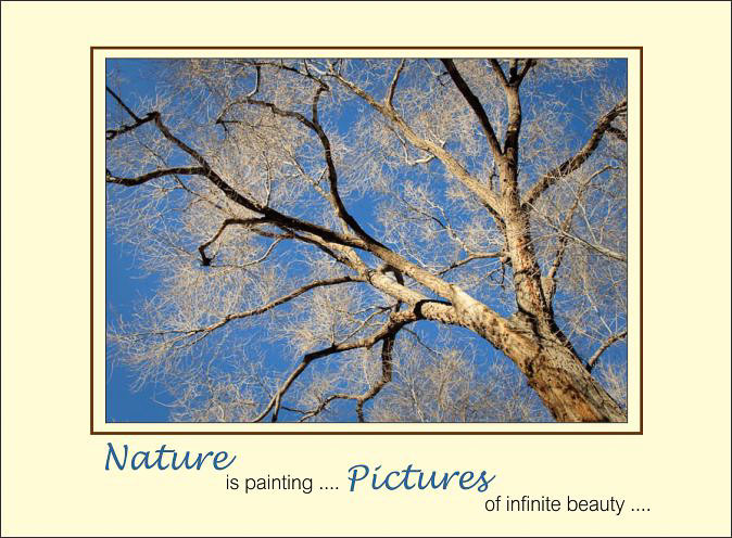 Nature_Painting_Pictures.jpg