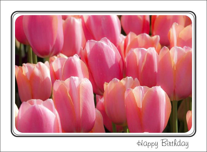 Pink_Tulips_Birthday_Monet.jpg