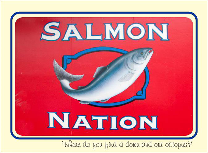 Salmon_Joke.jpg