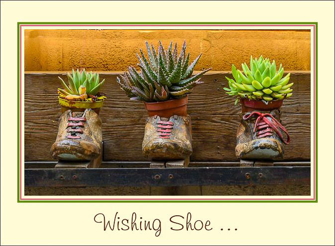 Wishing_Shoe.jpg