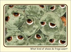 Frog_Shoe_Bday.jpg