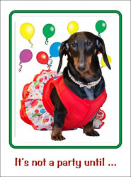 Birthdays