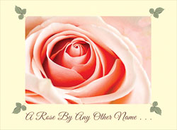Rose By Any Other Name 2223 Rose_By_Any_Other_Name.jpg