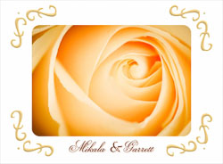 Cream_Rose_Mikala-Garrett.jpg