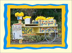 Daffodil_Cart.jpg