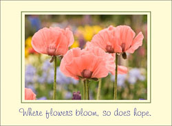 Three_Pink_Poppies_Hope.jpg