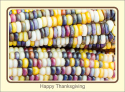 Gratitude_Indian_Corn.jpg