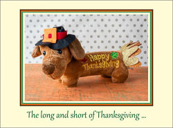 Thanksgiving_Dachshund.jpg