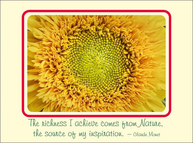 Sunflower_Inspiration.jpg