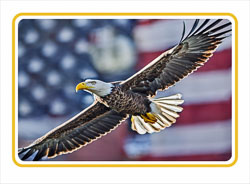 Eagle_Flag.jpg