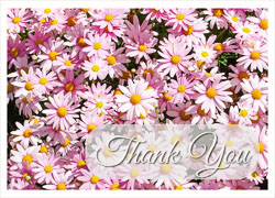 Pink_Daisy_Thank_You.jpg