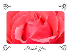 Red_Rose_Thank_You.jpg