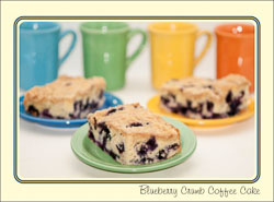 Blueberry_Crumb_CoffeeCake.jpg